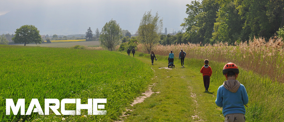 Courir Pour Aider à Meinier