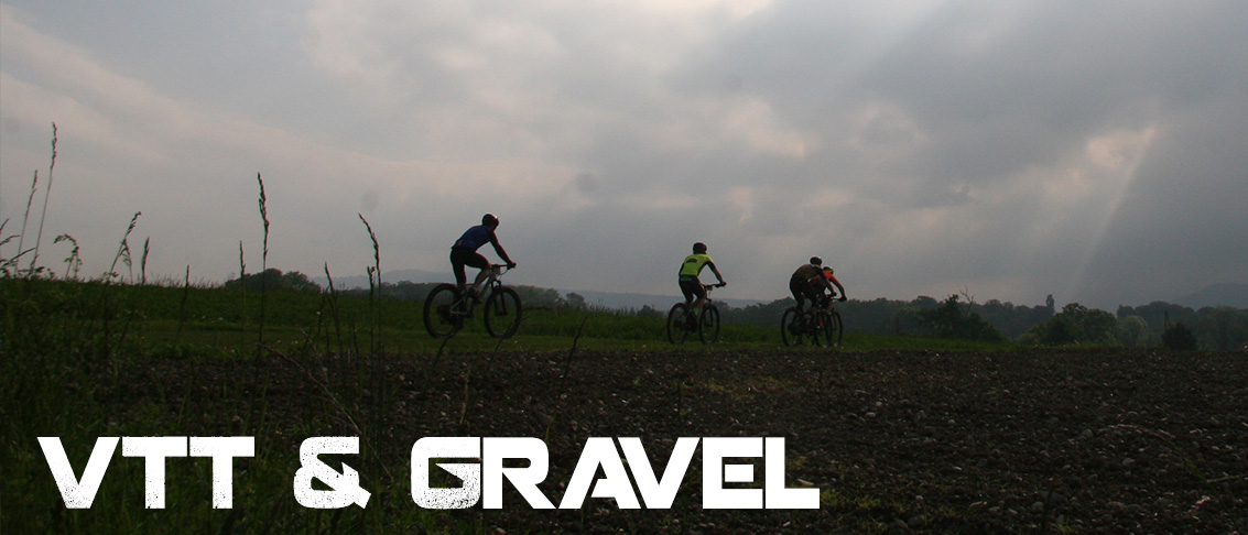 Courir Pour Aider à Meinier